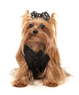 Umeda Jacket by FuzzYard