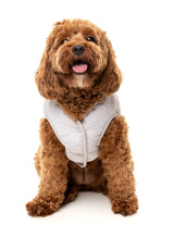 Nara 25 Jacket by FuzzYard