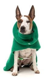 The Snuggle Snood Coat by FuzzYard