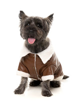 Ava Jacket by FuzzYard