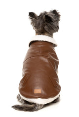 Ava Jacket by FuzzYard