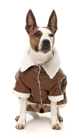 Ava Jacket by FuzzYard