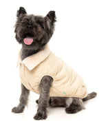 Frontier Jacket by FuzzYard