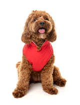 Breaker Raincoat by FuzzYard