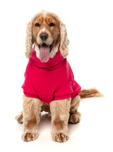 Stevie 25 Sweater by FuzzYard