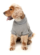 Stevie 25 Sweater by FuzzYard