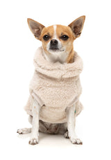 Turtle Teddy 25 Sweater by FuzzYard