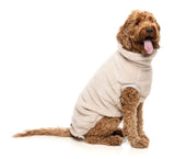 Turtle Teddy 25 Sweater by FuzzYard