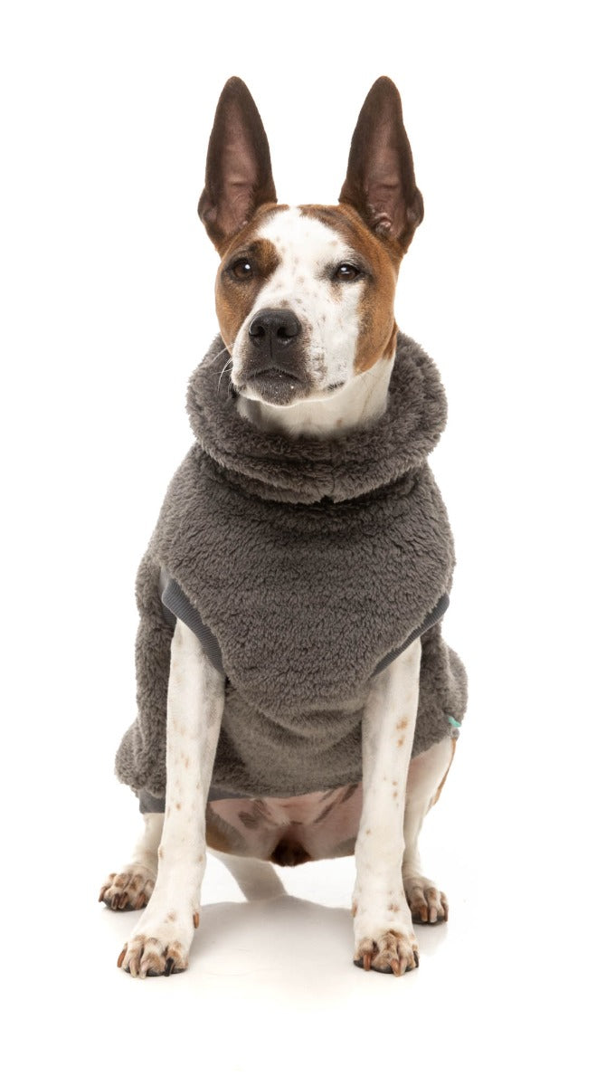 Turtle Teddy 25 Sweater by FuzzYard