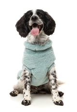 Turtle Teddy 25 Sweater by FuzzYard