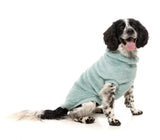 Turtle Teddy 25 Sweater by FuzzYard