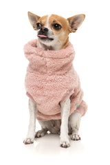 Turtle Teddy 25 Sweater by FuzzYard