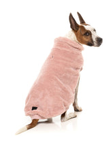 Turtle Teddy 25 Sweater by FuzzYard