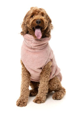 Turtle Teddy 25 Sweater by FuzzYard