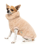 Turtle Teddy 25 Sweater by FuzzYard