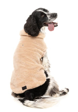 Turtle Teddy 25 Sweater by FuzzYard