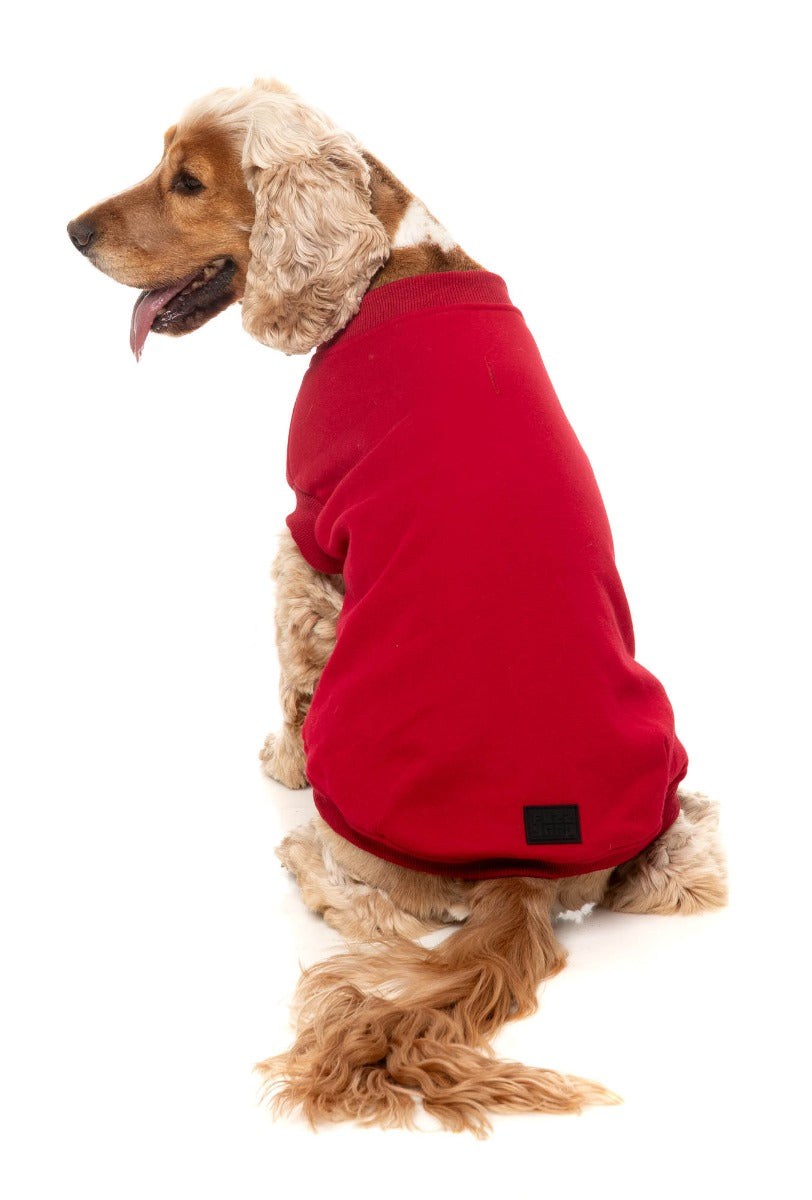 Allday 25 Sweater by FuzzYard