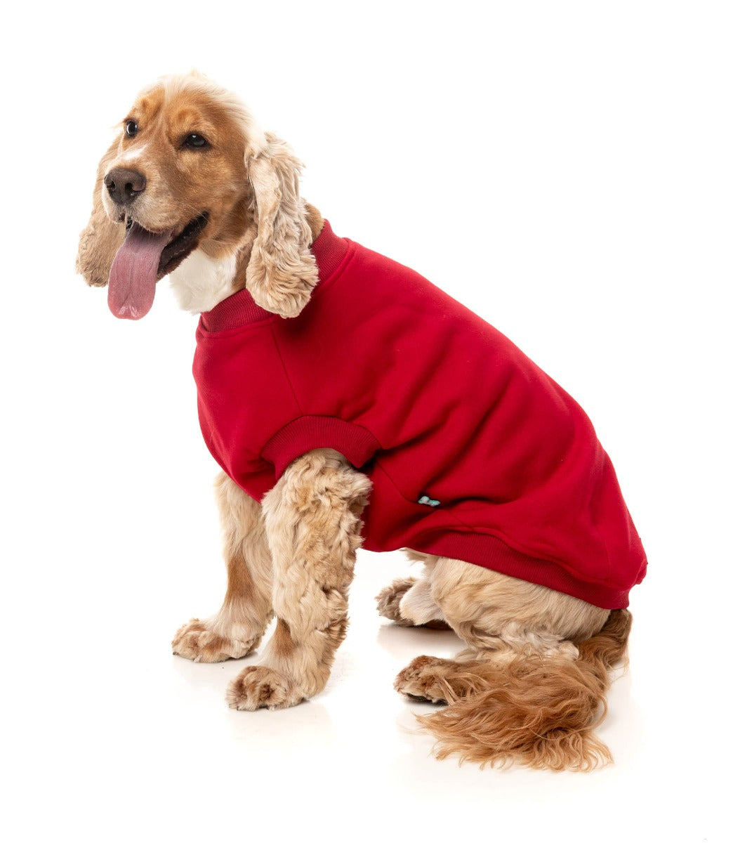 Allday 25 Sweater by FuzzYard