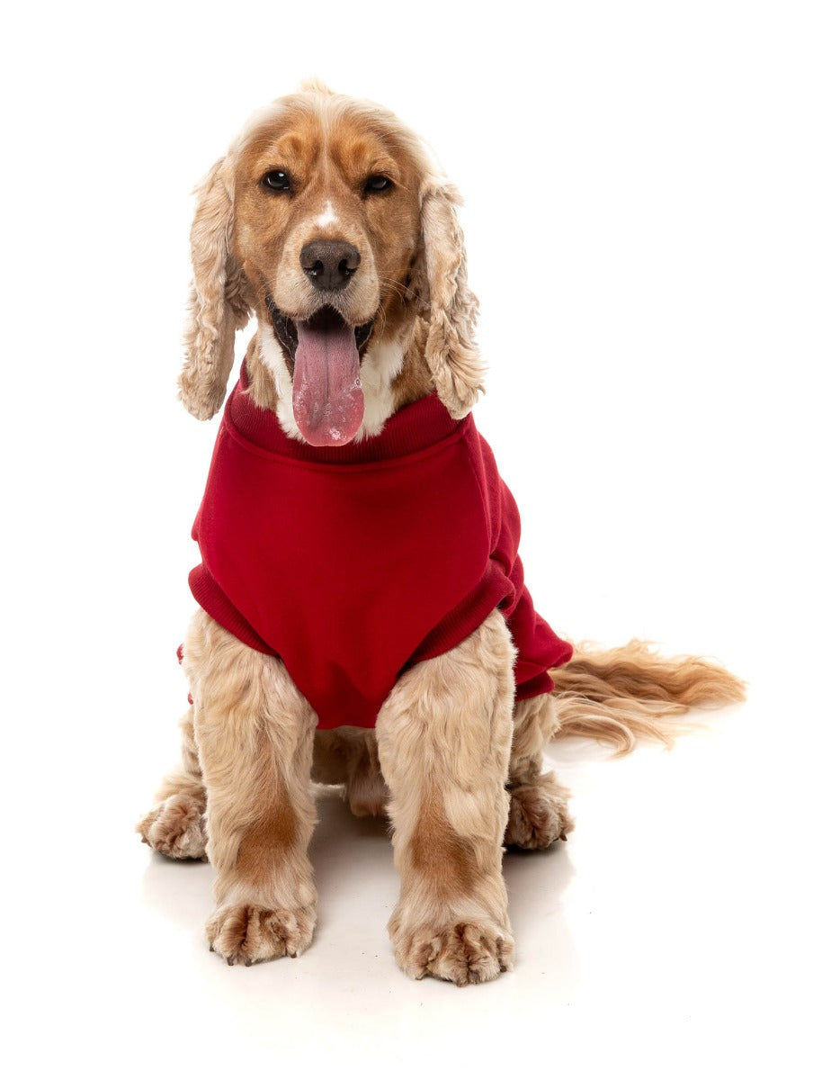 Allday 25 Sweater by FuzzYard