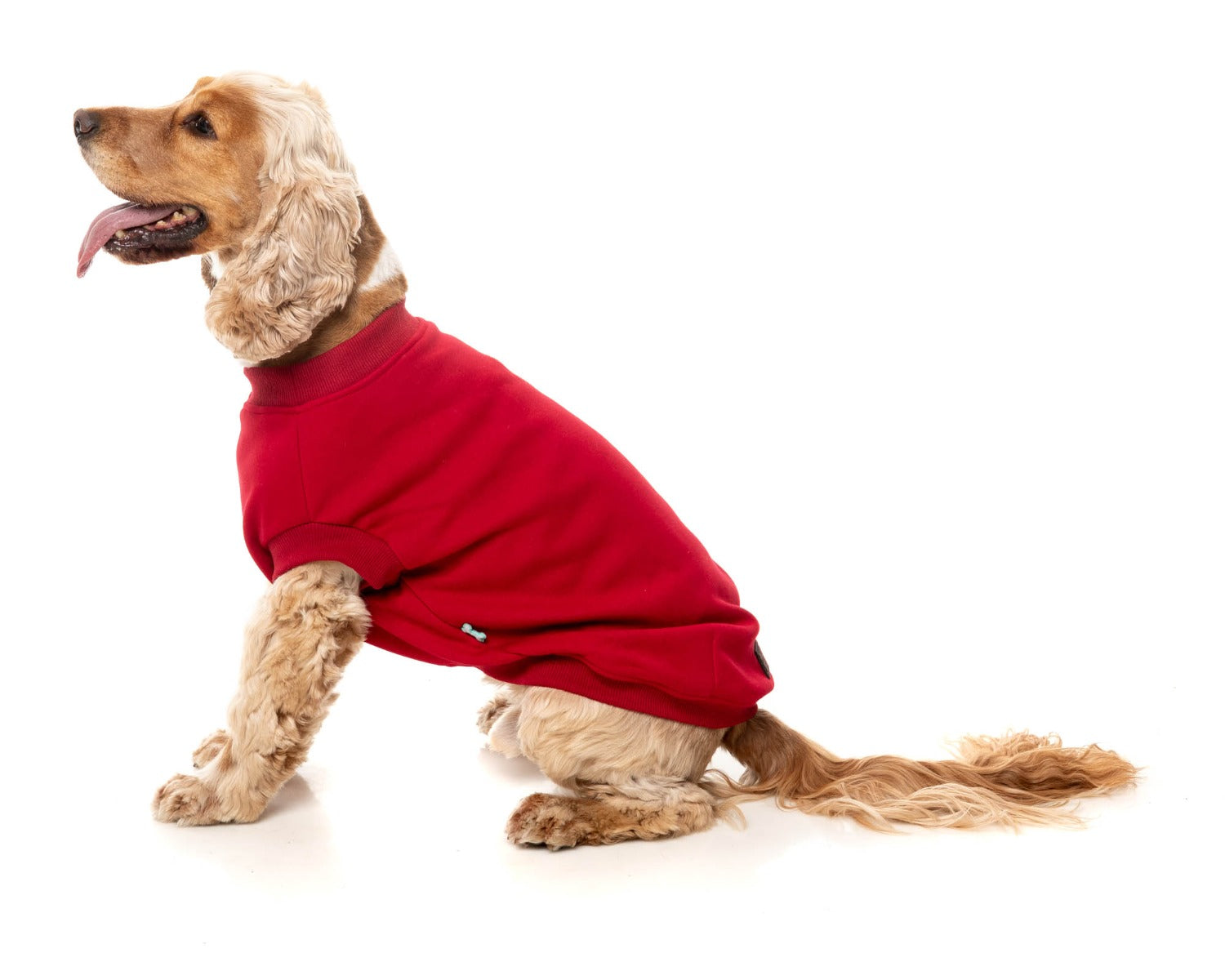 Allday 25 Sweater by FuzzYard