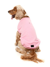 Allday 25 Sweater by FuzzYard