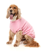 Allday 25 Sweater by FuzzYard