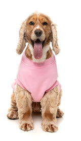 Allday 25 Sweater by FuzzYard