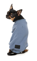 Allday 25 Sweater by FuzzYard