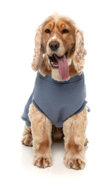 Allday 25 Sweater by FuzzYard