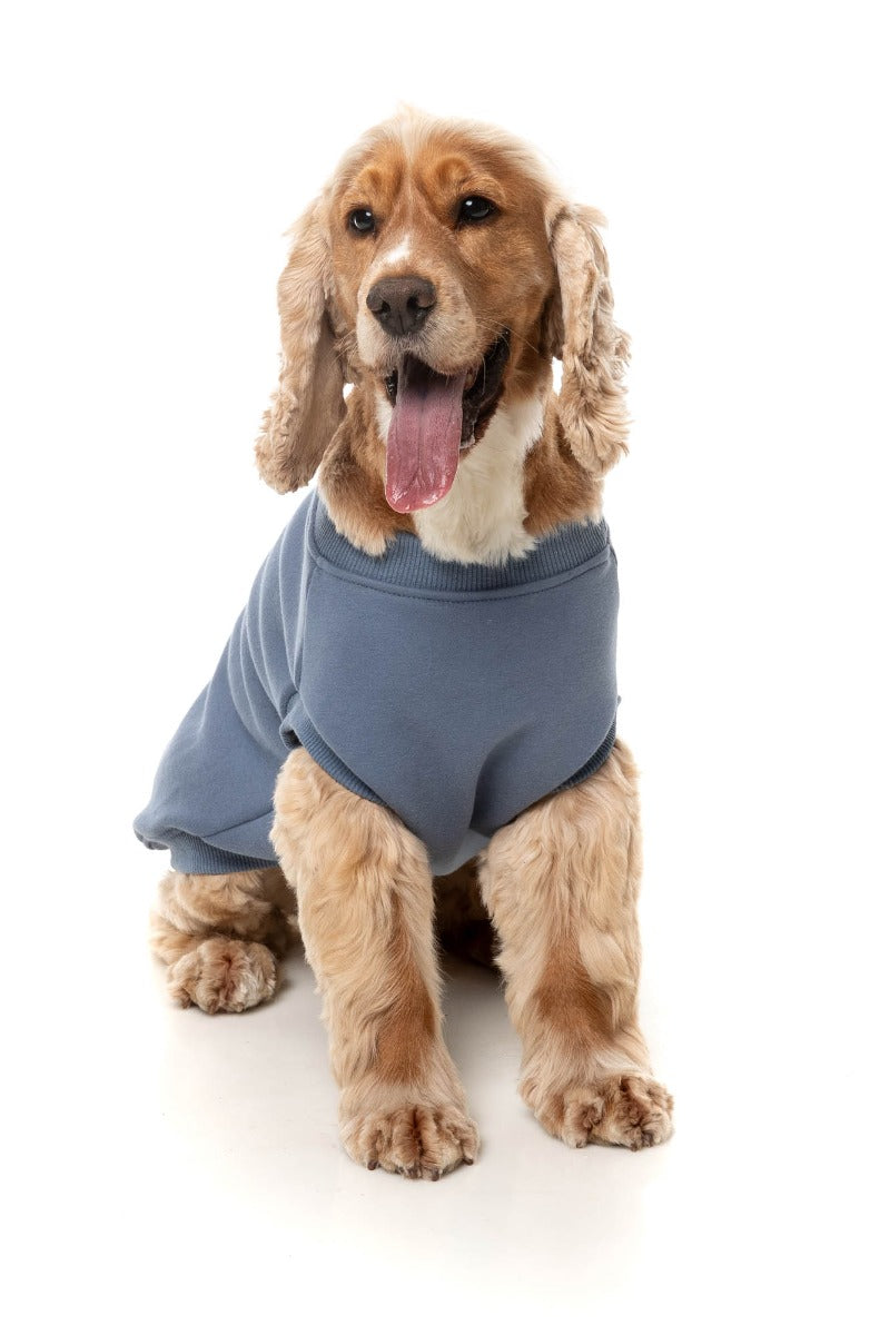 Allday 25 Sweater by FuzzYard