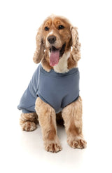 Allday 25 Sweater by FuzzYard