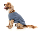 Allday 25 Sweater by FuzzYard