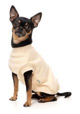 Allday 25 Sweater by FuzzYard