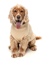 Allday 25 Sweater by FuzzYard