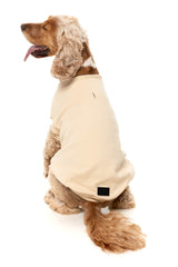 Allday 25 Sweater by FuzzYard