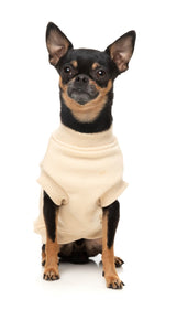 Allday 25 Sweater by FuzzYard