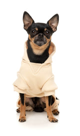 Urban Tracksuit by FuzzYard