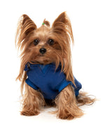 The Homies Hoodie by FuzzYard