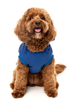 The Homies Hoodie by FuzzYard