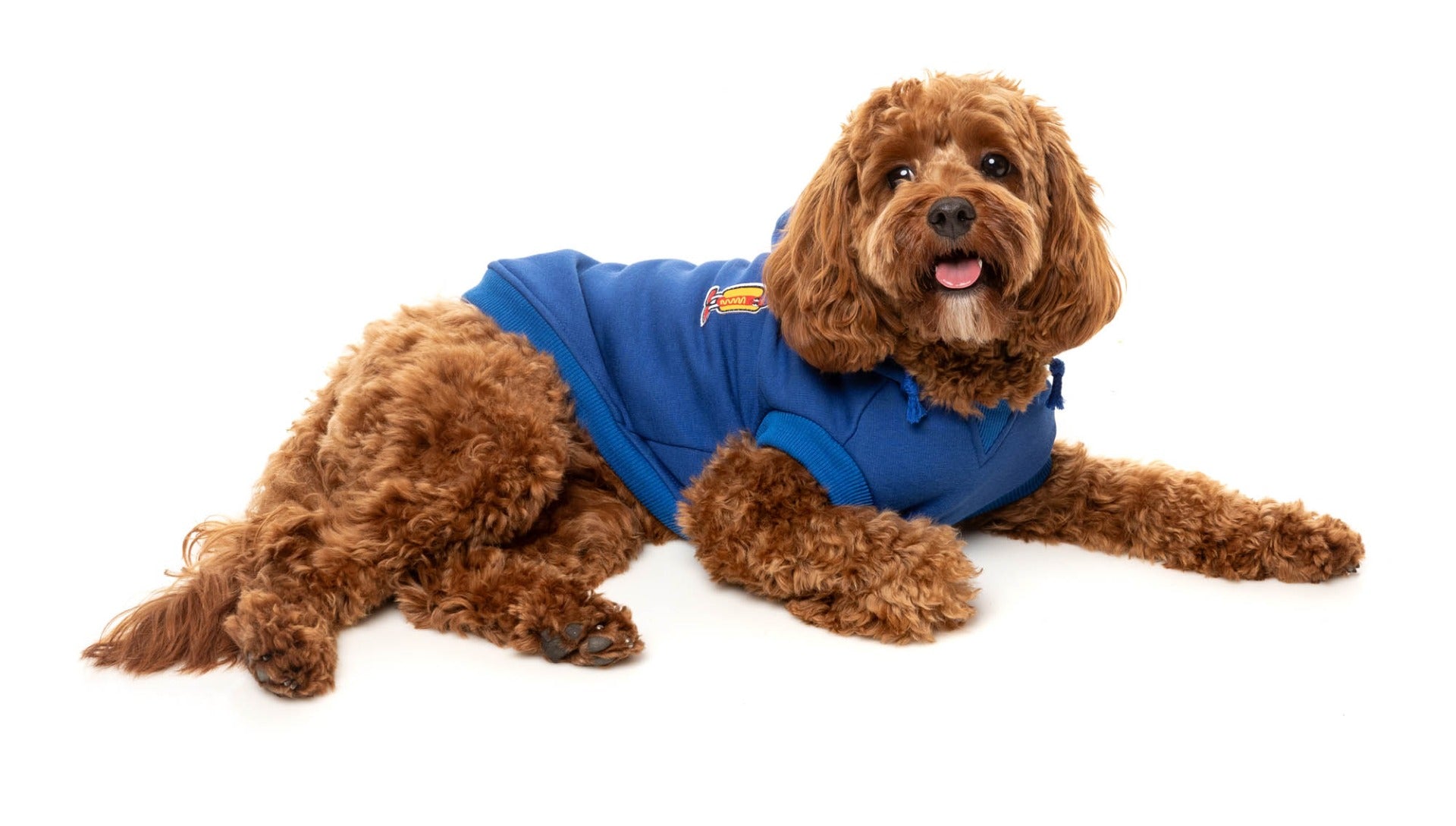 The Homies Hoodie by FuzzYard