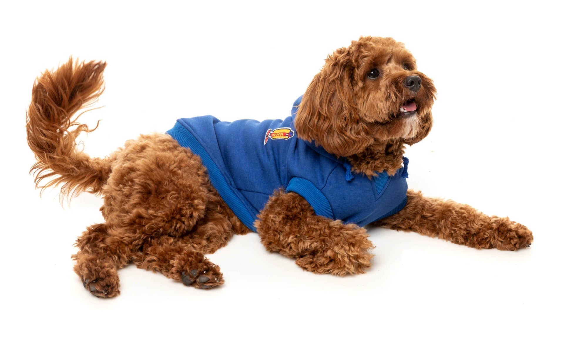 The Homies Hoodie by FuzzYard