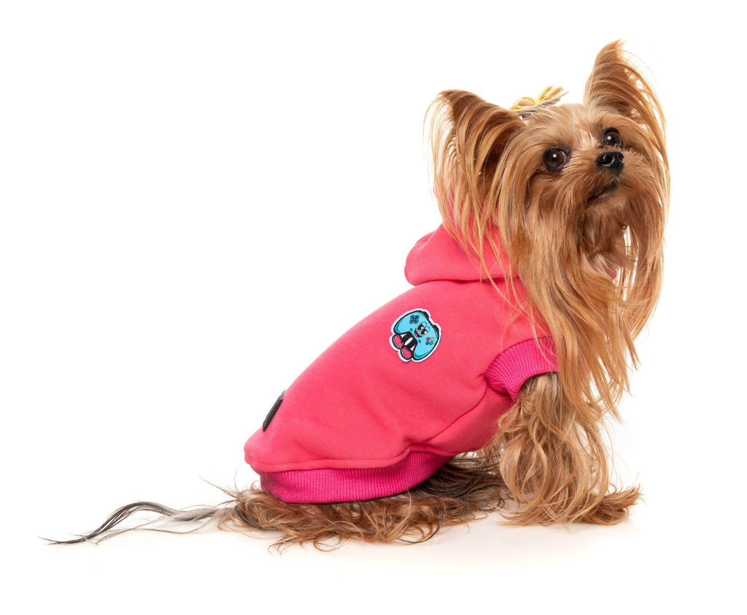 The Homies Hoodie by FuzzYard