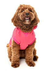 The Homies Hoodie by FuzzYard