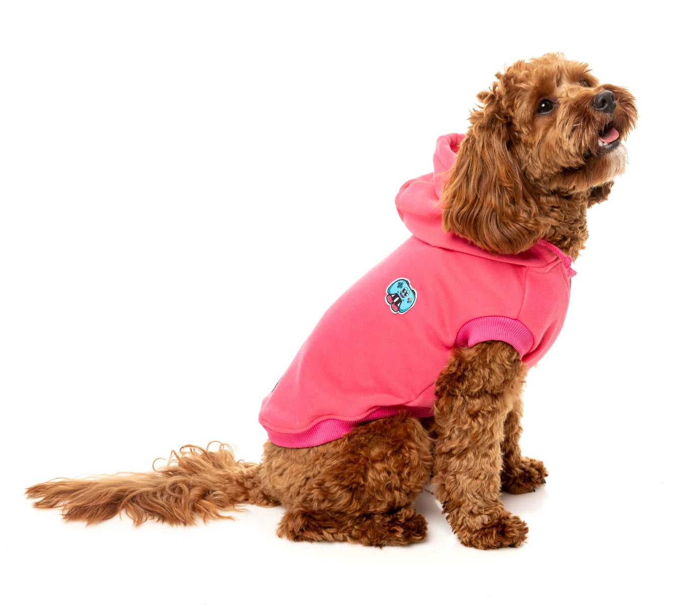 The Homies Hoodie by FuzzYard