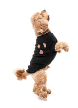 Rep It - Freshman Sweater by FuzzYard