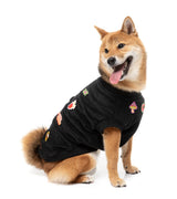 Rep It - Freshman Sweater by FuzzYard