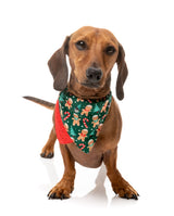 Jolly Gingerbread & Canes - Bandana by FuzzYard