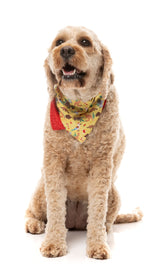 Outback Wonderland - Bandana by FuzzYard