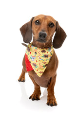 Outback Wonderland - Bandana by FuzzYard