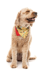 Outback Wonderland - Bandana by FuzzYard